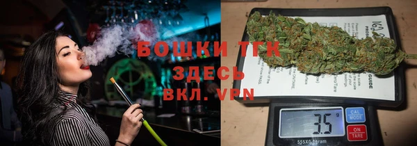прущий лед Бородино