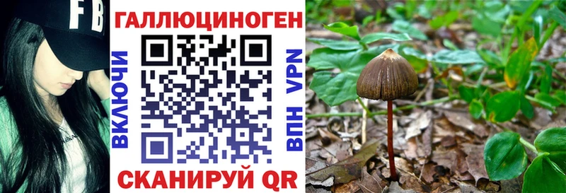 купить наркотики сайты  Белозерск  Галлюциногенные грибы GOLDEN TEACHER 